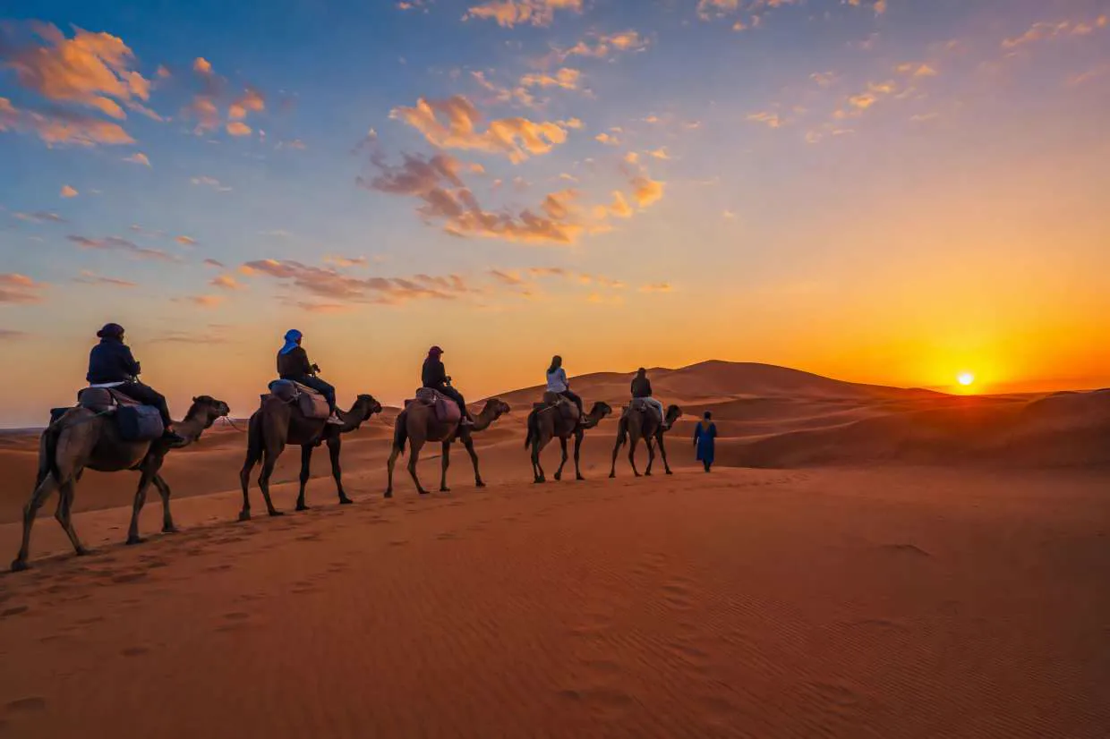 Caravane de dromadaires dans les dunes du Sahara au coucher du soleil