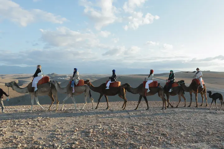 Camel ride in the Agafay desert