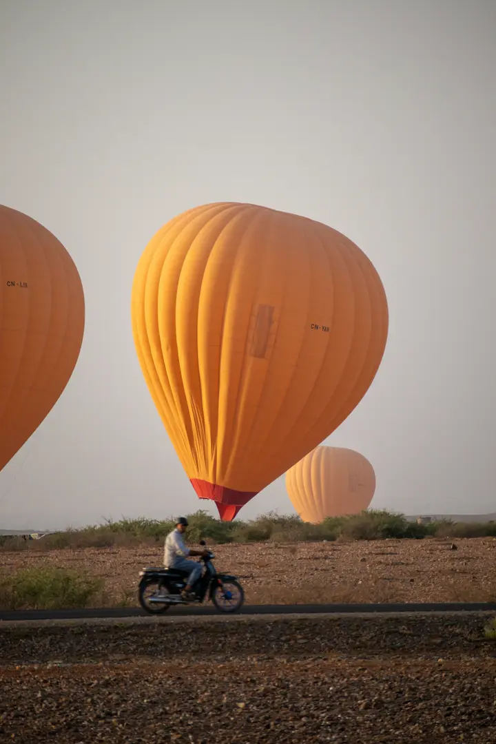 Hot air balloons taking off in the morning