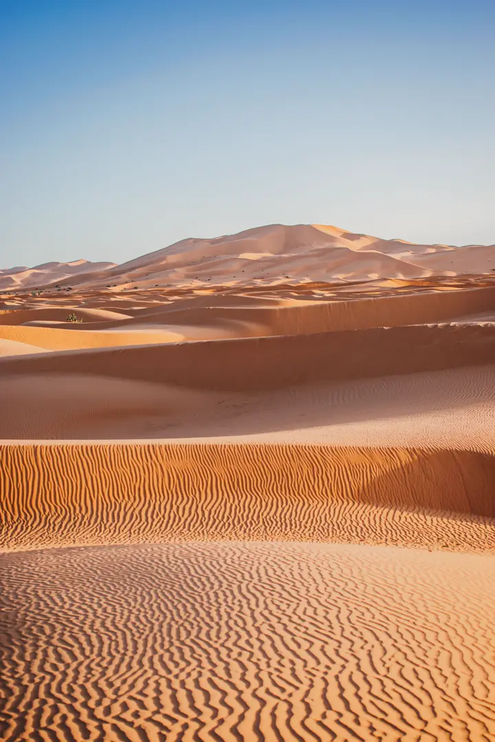 Wide sand dunes in the Sahara