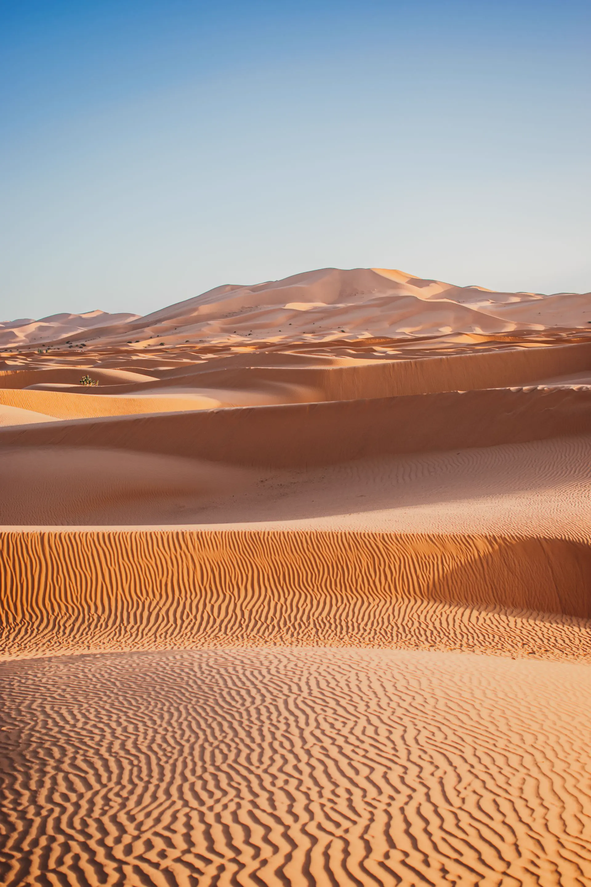 Weite Sanddünen in der Sahara