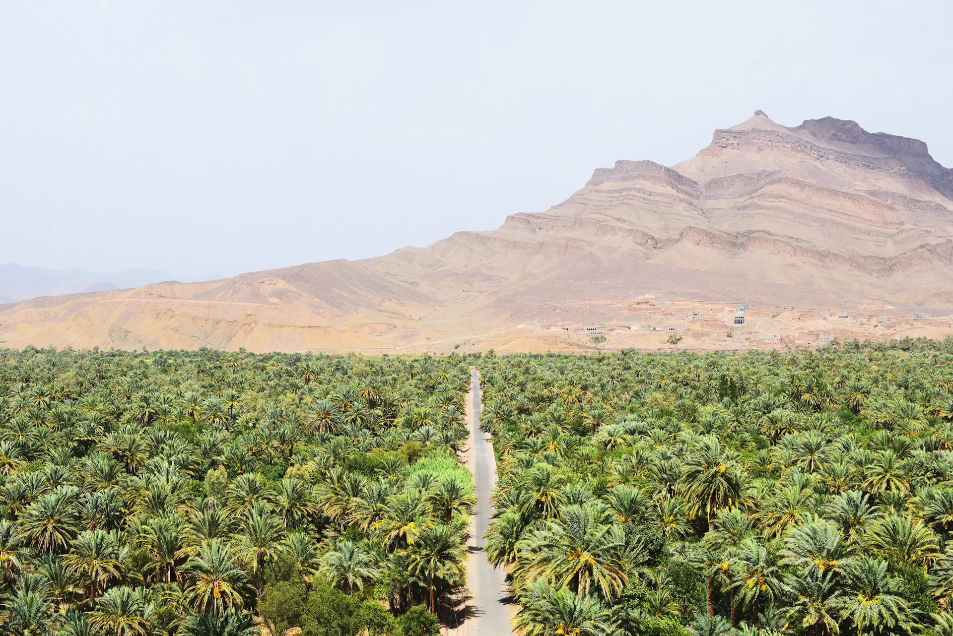 Palmeraies de la vallée du Drâa près d’Agdz