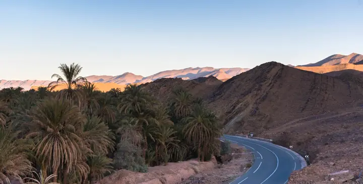 Road through the palms of the Draa Valley