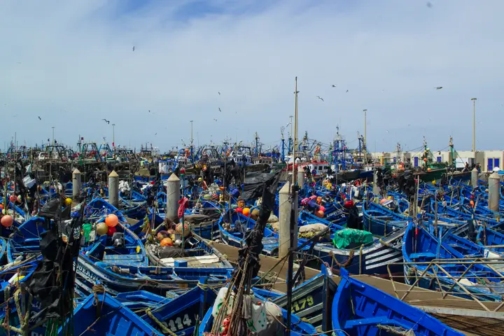 Blue fishing boats in the port of Essaouira