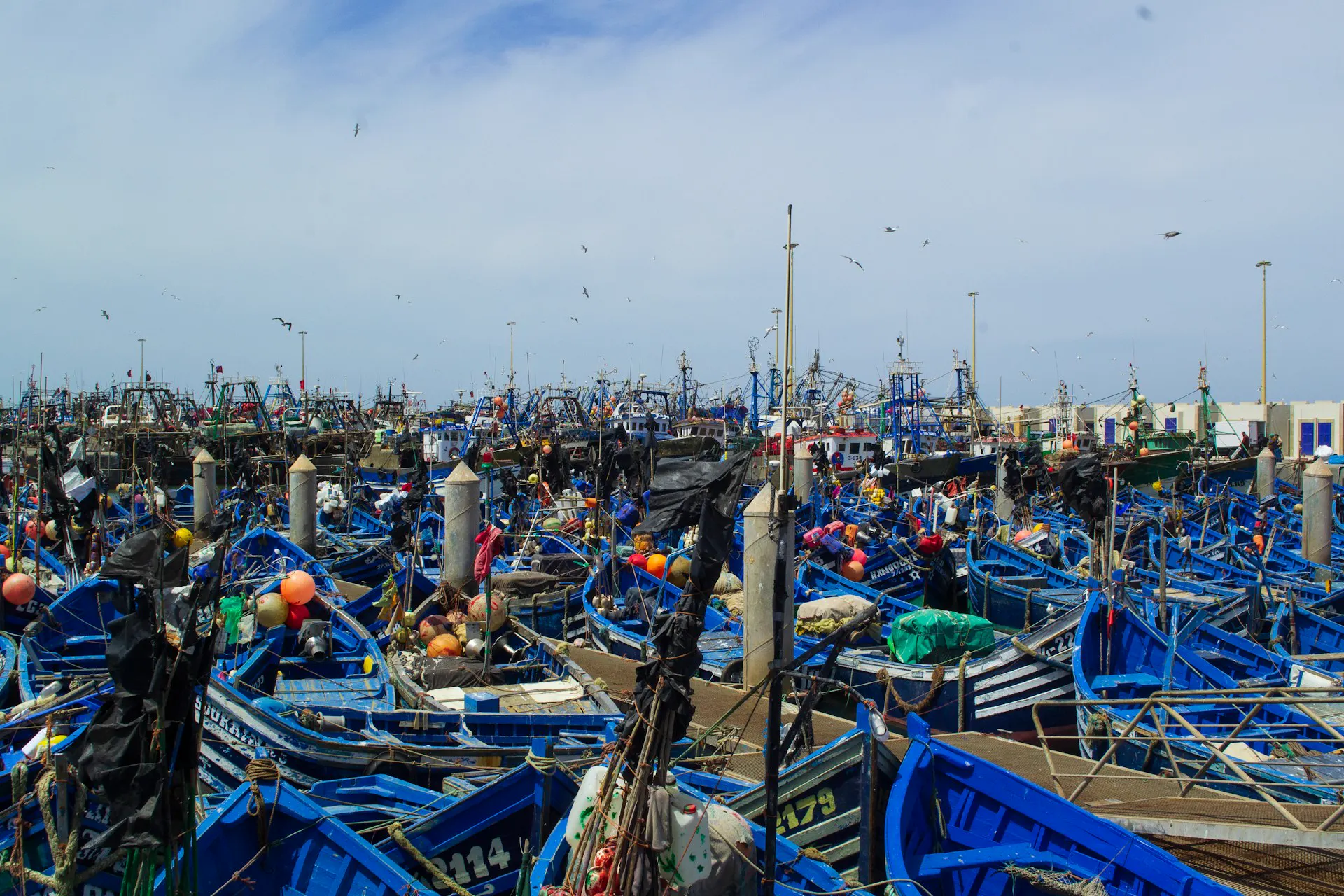 Barques bleues dans le port d’Essaouira
