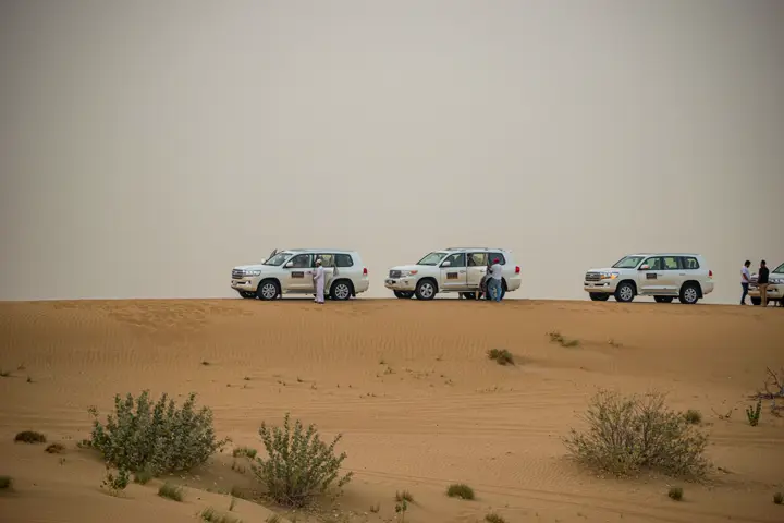 4x4 vehicles on a desert track