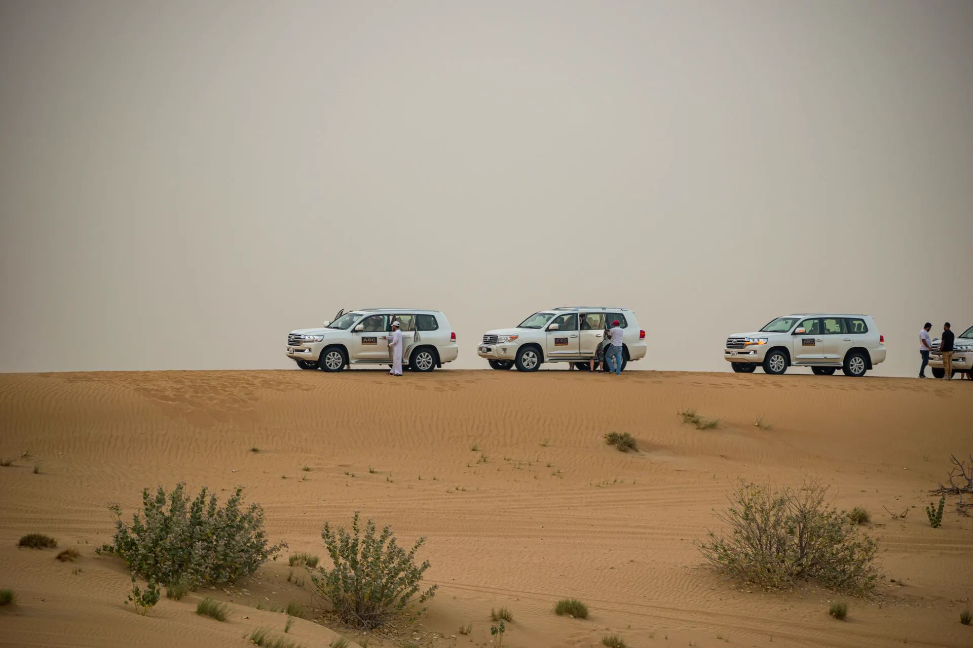 4x4 vehicles on a desert track