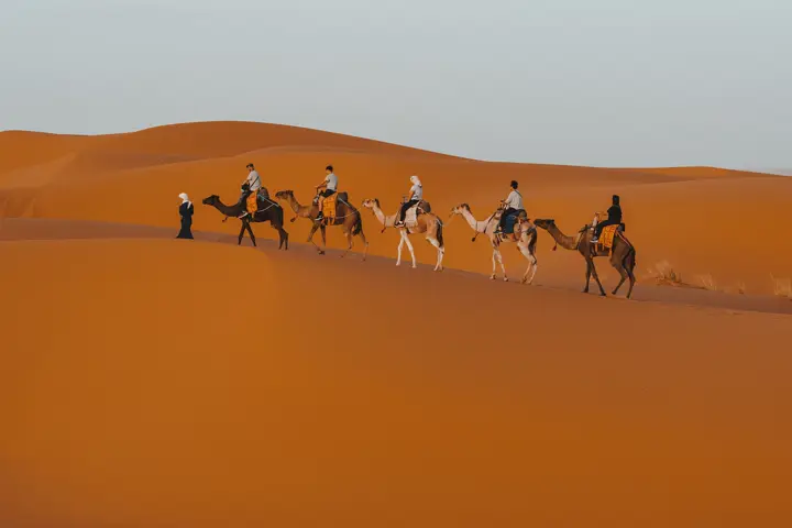 Camel ride through the dunes of Merzouga