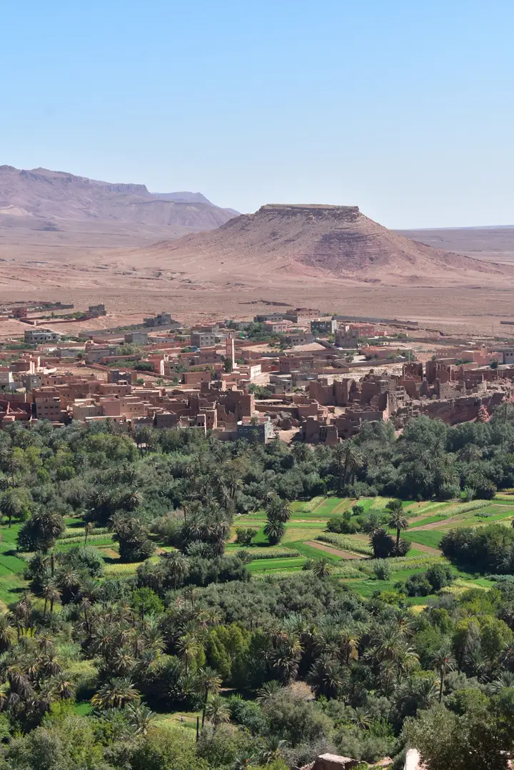 Palm oasis of Tinghir in front of the Todra Gorge