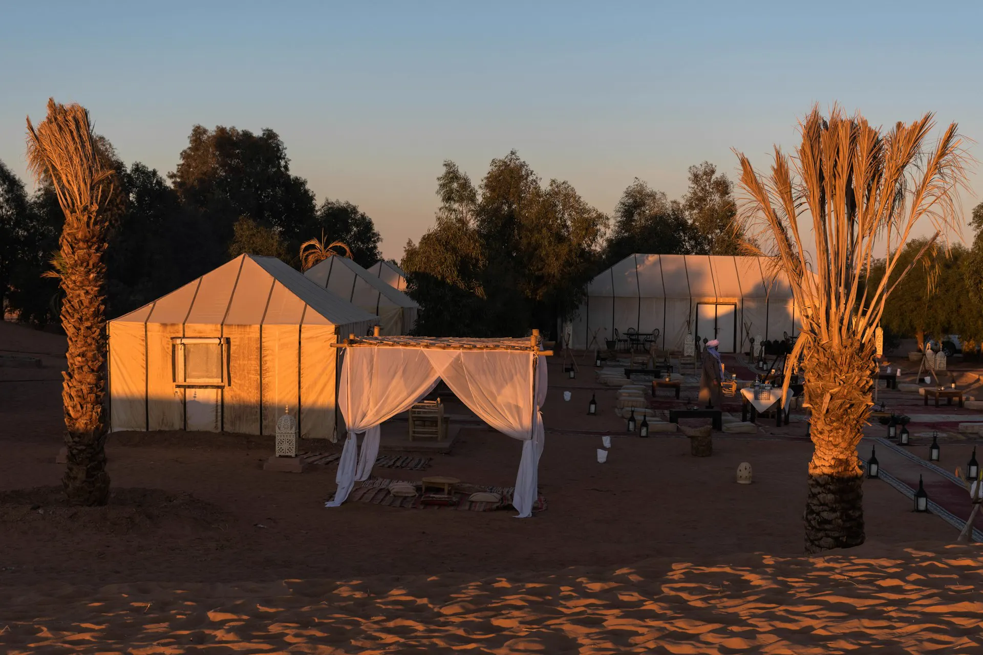 Bivouac avec palmiers le soir