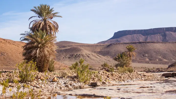 Palm trees and mesas near Zagora